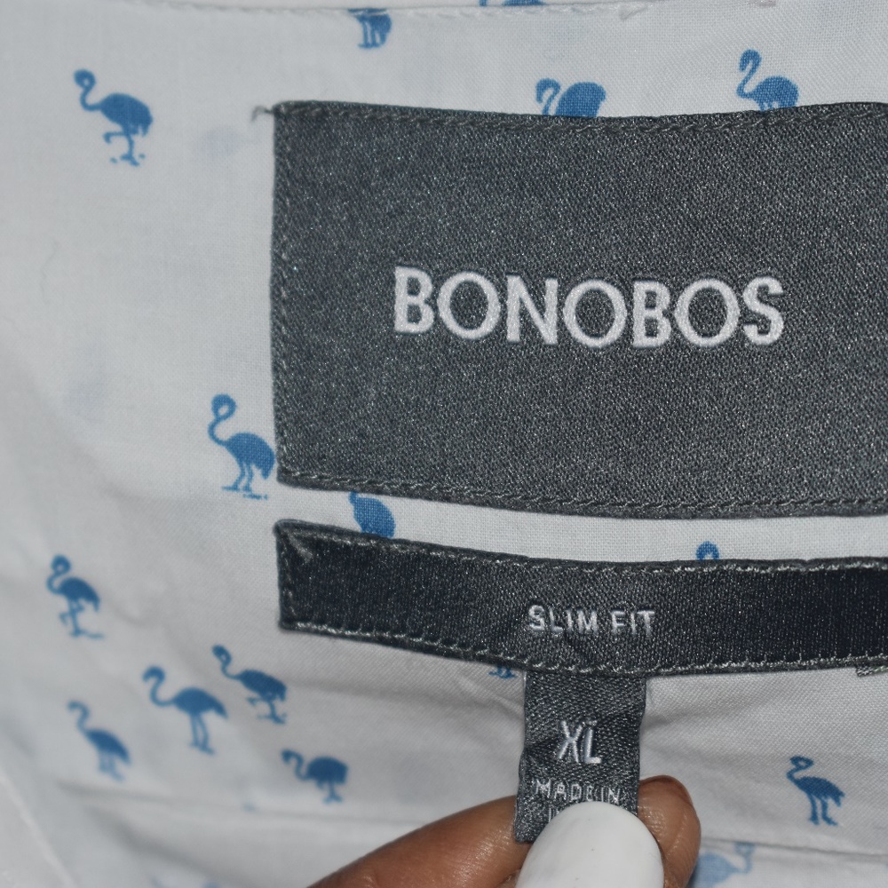 Bonobos - Picture 3 of 5